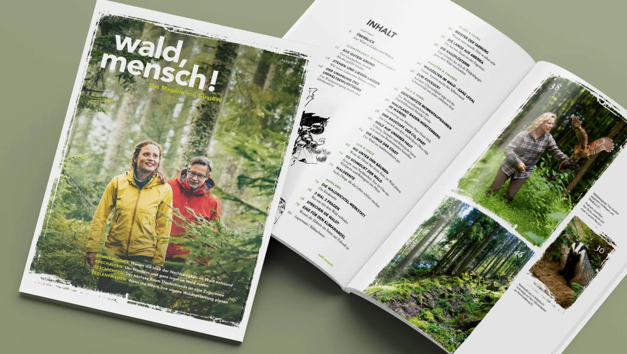 Header Bild wald, mensch!