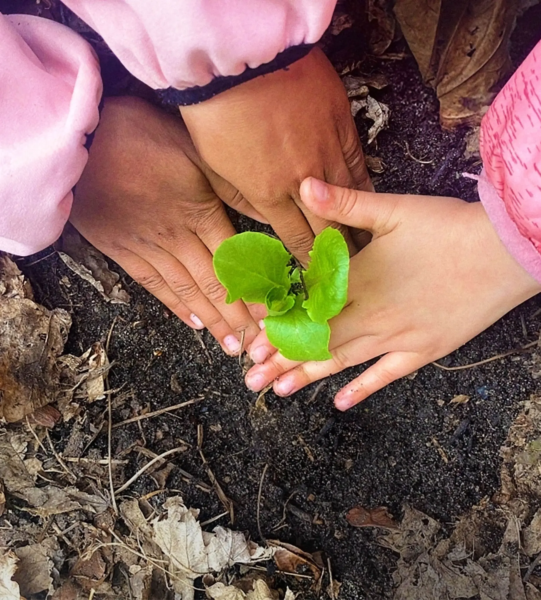 Header Bild 25 Jahre! Buhck-Stiftung