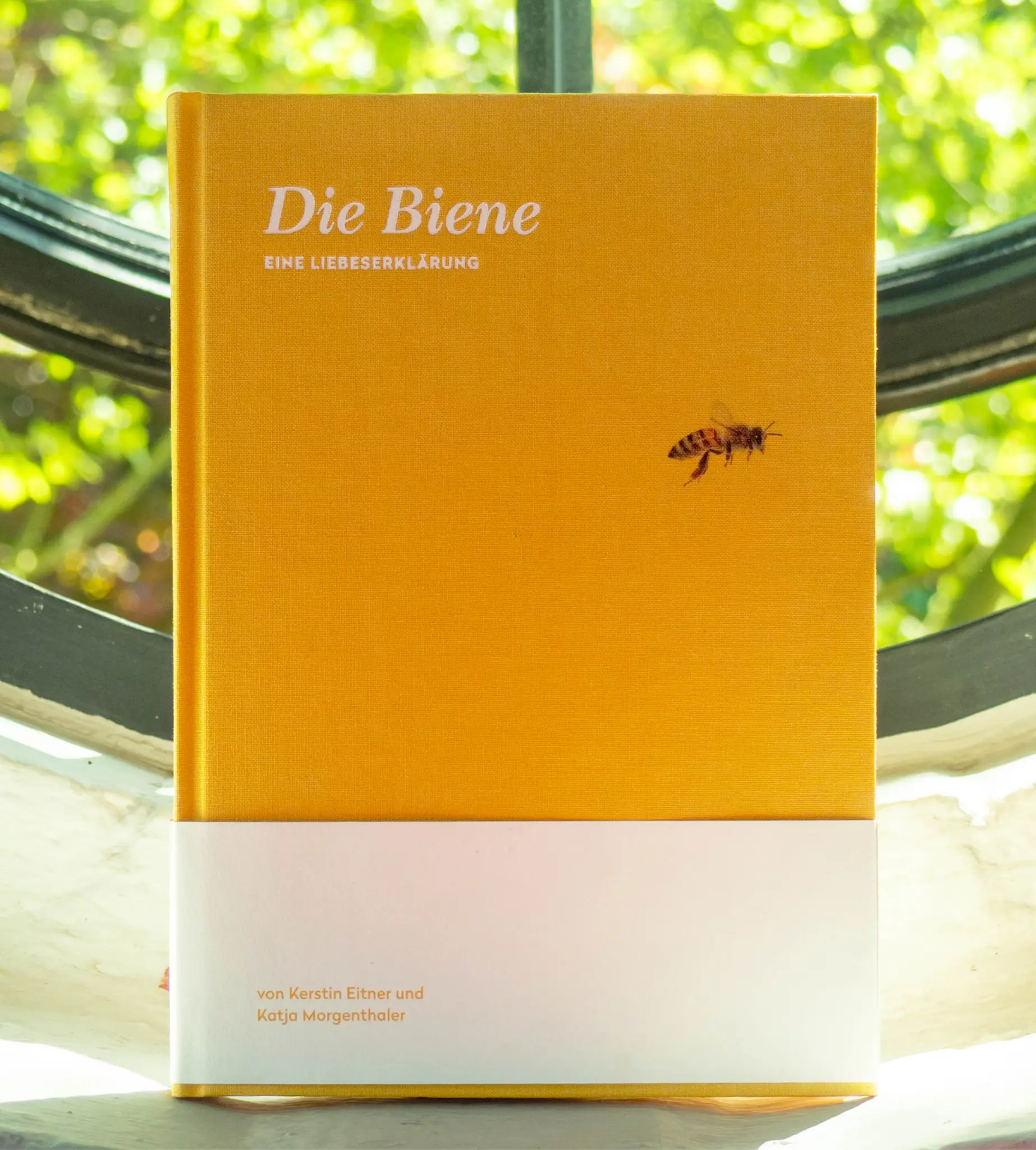 Header Bild Die Liebeserklärung an die Biene