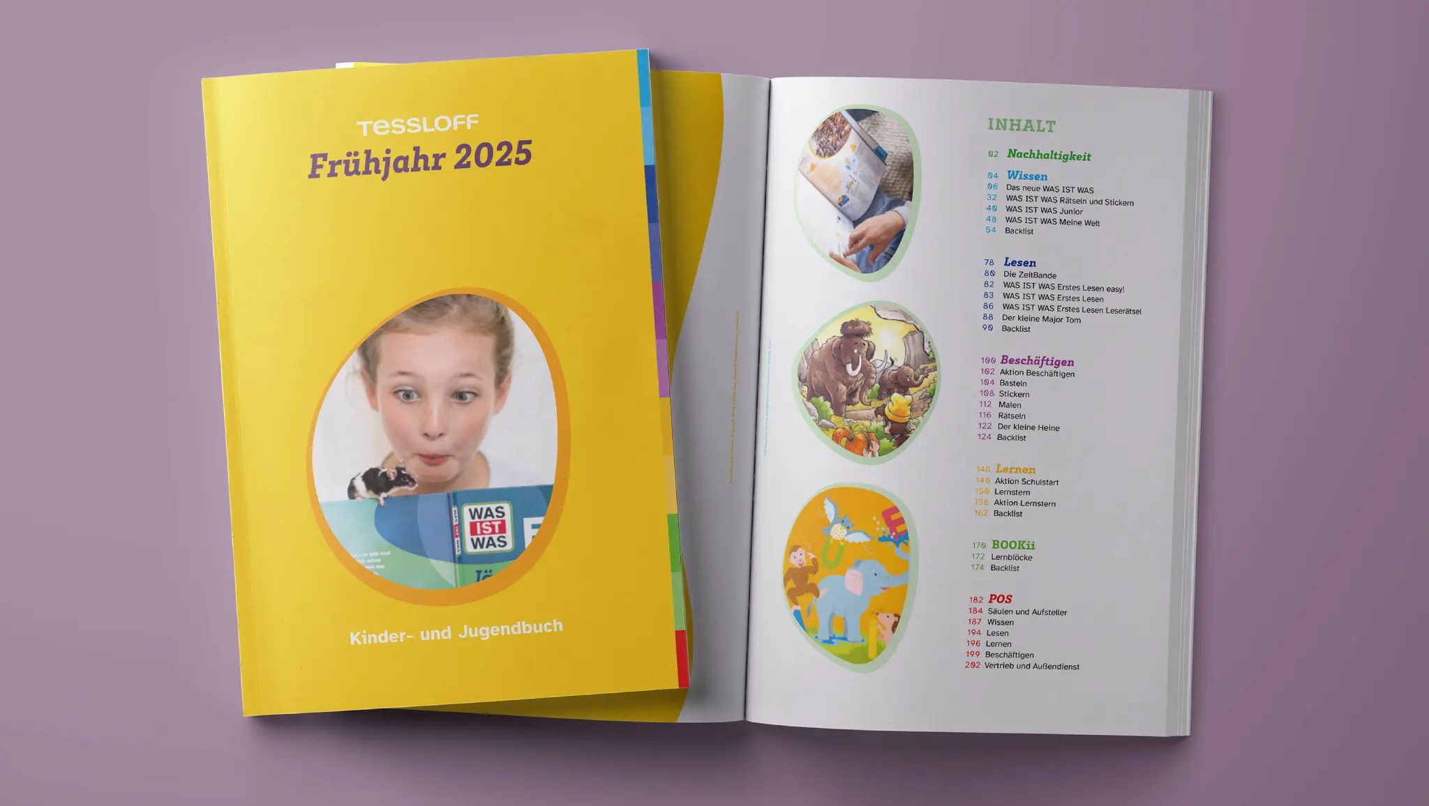 Header Bild … und Neugier möchte Antworten