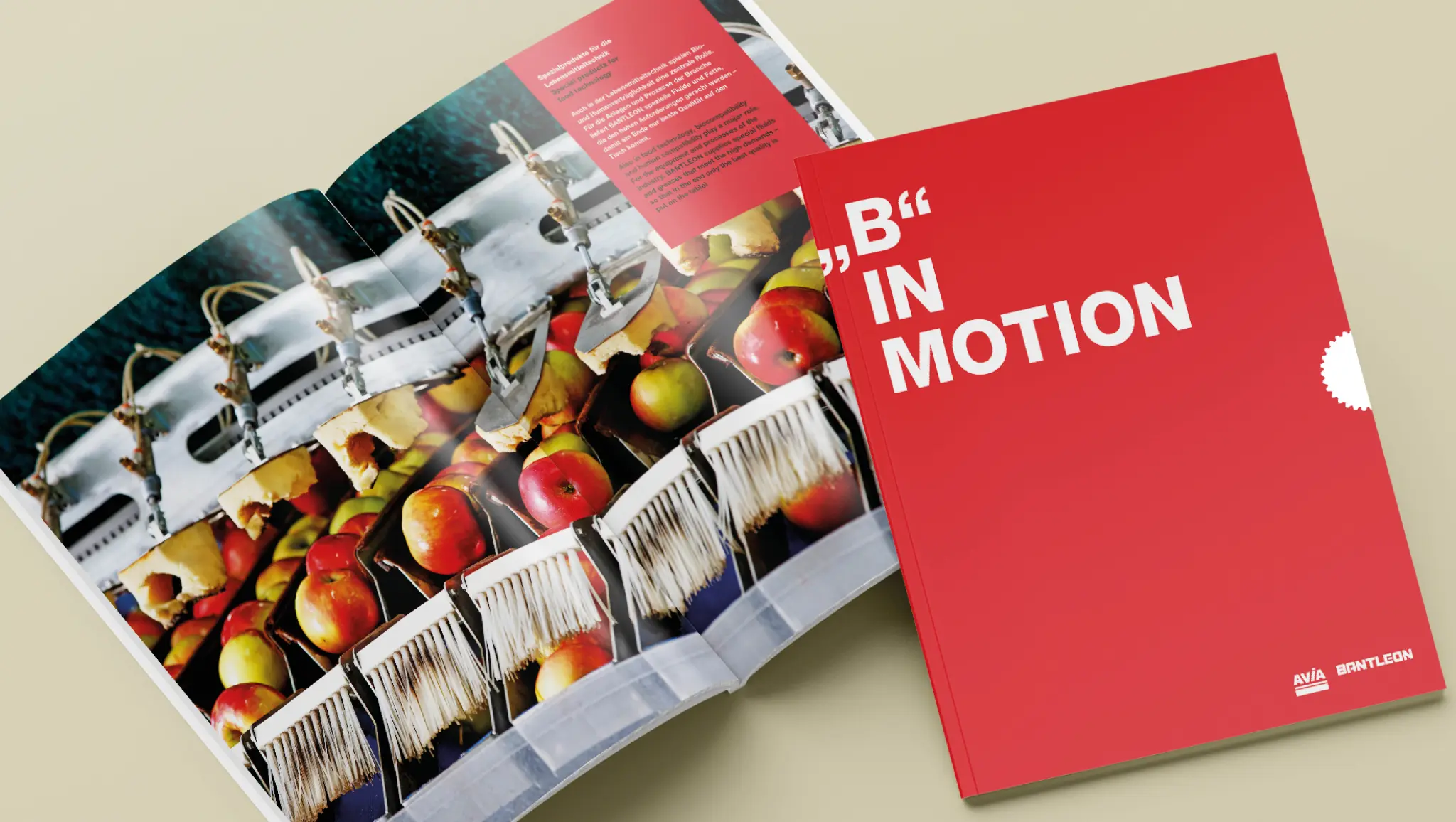 Header Bild … 100 Jahre Bantleon